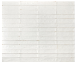 Rondine Noho White